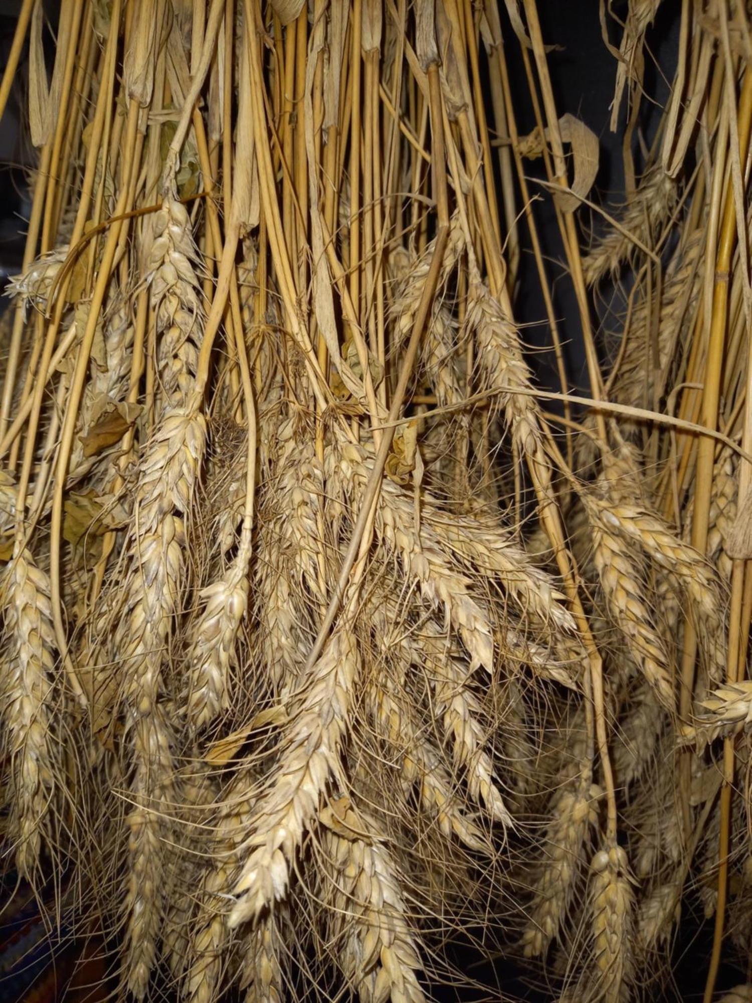 Fruehstueckspension Muellergut 洛弗附近圣马丁 外观 照片